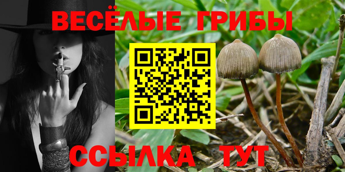 Галлюциногенные грибы мицелий  Вход с VPN  купить  цена  Лениногорск 