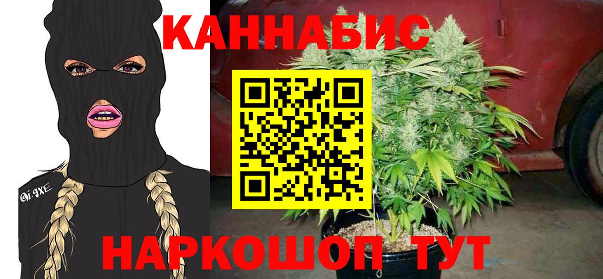 Конопля MAZAR Лениногорск